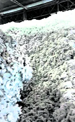 సీసీఐ కేంద్రాల్లో ‘ధర’ దగా!