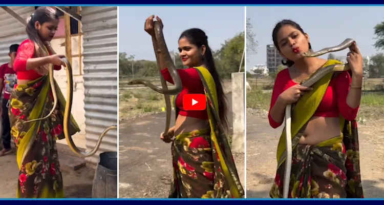 వామ్మో పాము.. ఏమి గుండెరా నాయనా..!