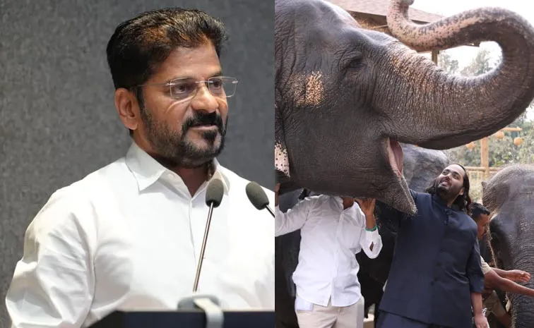 తెలంగాణలో ‘వంతారా’ జూపార్క్‌.. కుదిరిన ఎంవోయూ