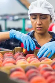 Government Calls on Corporates to Boost Investments in Food Processing