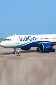 IndiGo Flight Faces Unusual Hitch as Pigeon Enters Cabin Video Goes Viral