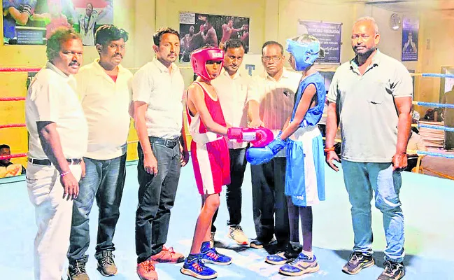 ఉత్సాహంగా బాక్సింగ్‌ ఎంపికలు