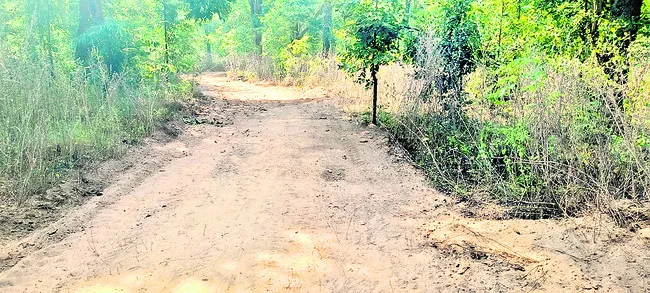 మహాజాతరకు  అడవిమార్గంలో రోడ్డు 
