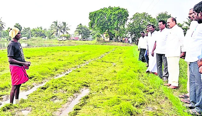 చంద్రబాబుకు రైతులపై కనికరం లేదు 