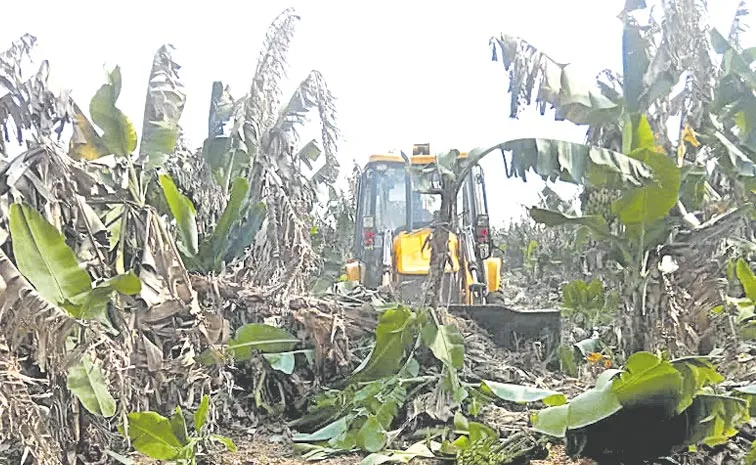 Banana farmers Facing Problems at Anantapur Dist