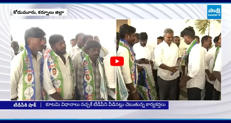 టీడీపీకి భారీ షాక్.. YSRCPలో చేరిన 100 కుటుంబాలు