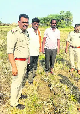 రుక్మాపూర్‌లోనూ పులి అడుగులు