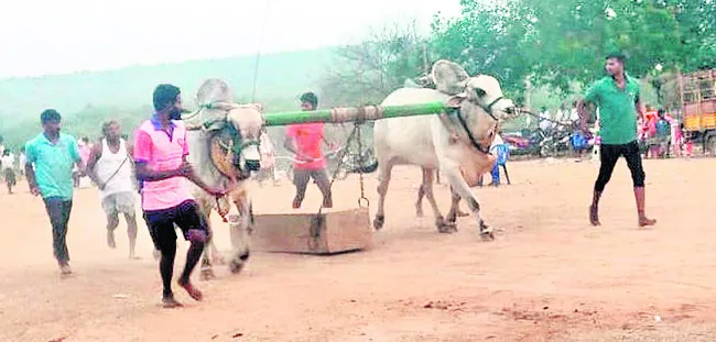 హోరాహోరీగా బండలాగుడు పోటీలు 