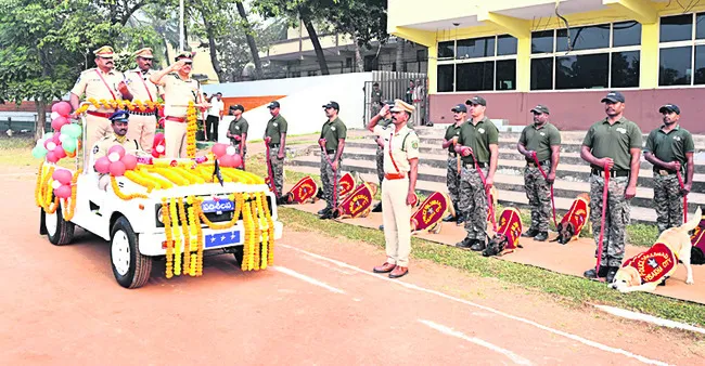 ఈ ఏడాది మనకు కీలకం