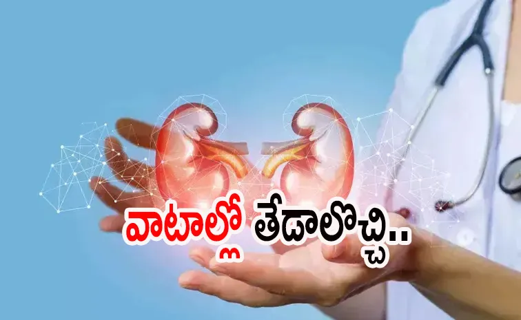 రైతు ఫిర్యాదుతో.. పాన్‌ ఇండియా కిడ్నీ రాకెట్‌ ముఠా గుట్టు రట్టు