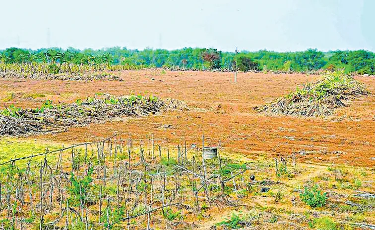 22ఏ భూములపై మళ్లీ రీ వెరిఫికేషన్‌