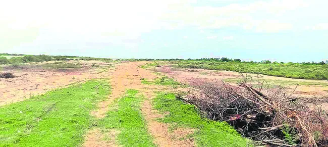 తీరంలో తమ్ముళ్ల భూదందా 