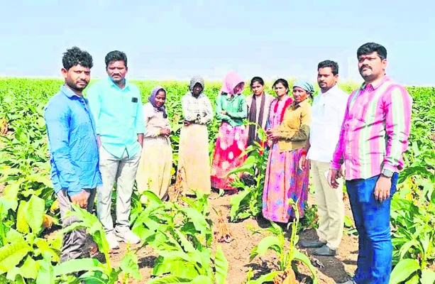 బాలకార్మిక వ్యవస్థ నిర్మూలనకు కృషి 
