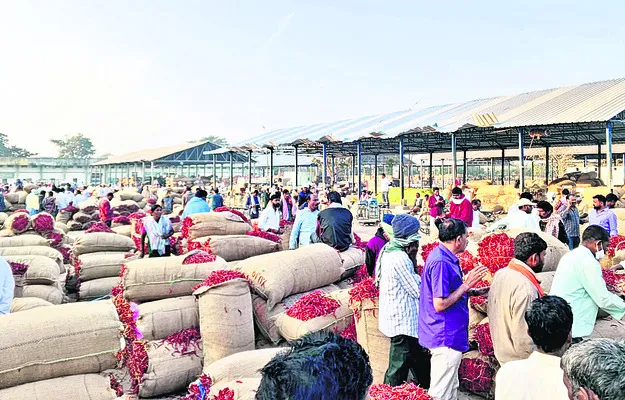 మిర్చి ధరలో పురోగతి