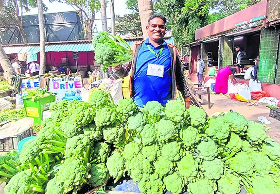 బ్రొకలికి మంచి డిమాండ్‌ 
