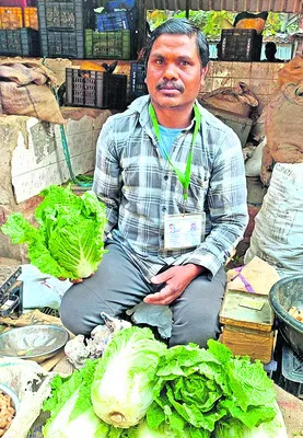 లెట్యూస్‌తో మంచి రాబడి 
