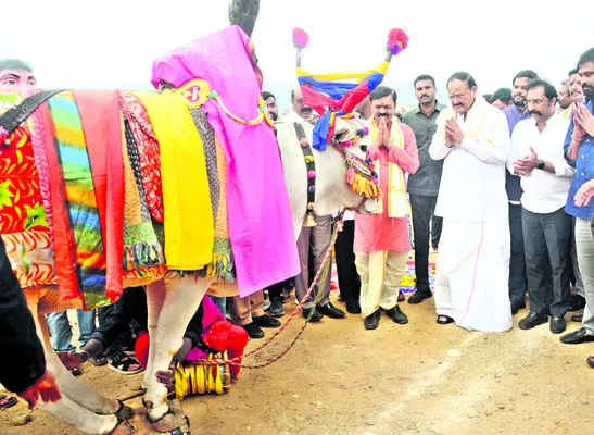 సంక్రాంతి.. సంస్కృతికి ప్రతీక