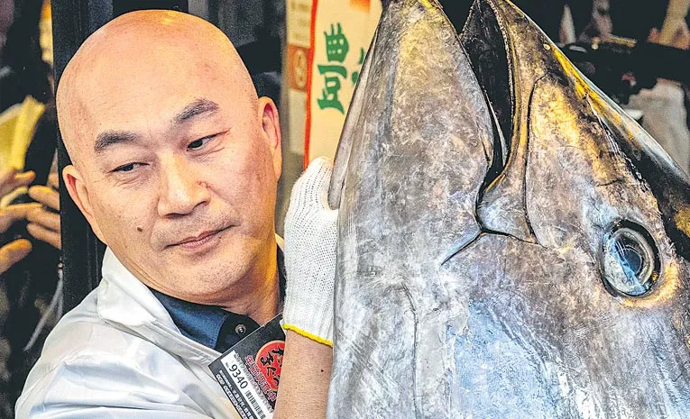 243kg bluefin tuna sold for 28 crore at tokyo fish market auction2