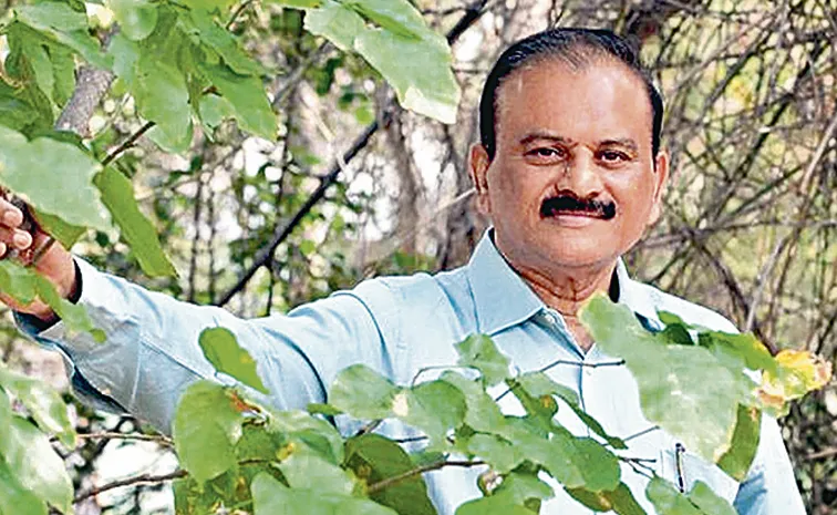 అతడు అడవులను సృష్టిస్తున్నాడు!  