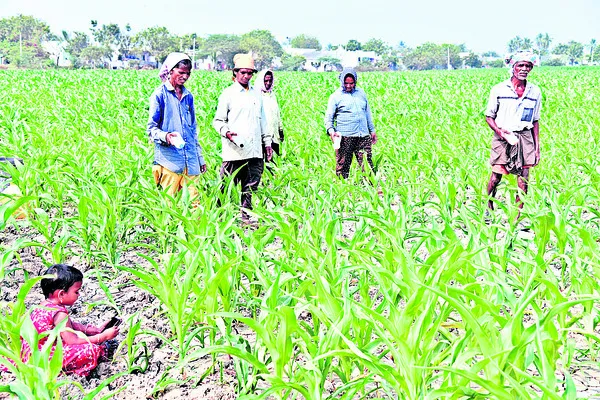 పిల్లల బుర్రల్లో ‘సెల్‌’చల్‌!