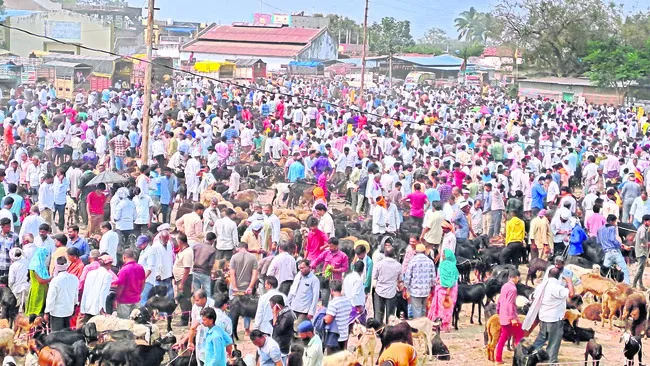 సంక్రాంతి సంత @ రూ.3 కోట్లు 