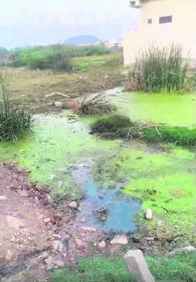 ఇళ్ల మధ్యనే మురుగు
