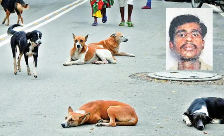 shamshabad unconscious man got attacked by dogs