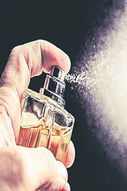 Explore India booming perfume market 2026