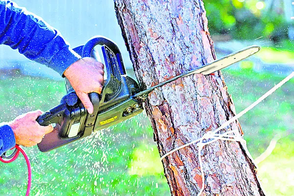 తప్పు–శిక్ష 