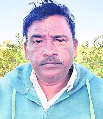 పంట ఆశాజనకంగా ఉంది
