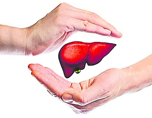 లివర్‌ జరభద్రం 