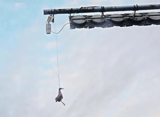 ● ఆకాశంలో సంబరం.. గాలిలో మృత్యువు