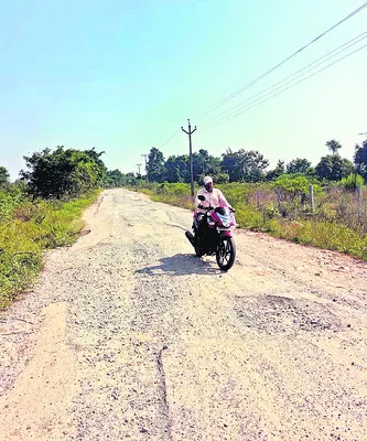 ఘనంగా ముగిసిన పక్షుల పండుగ
