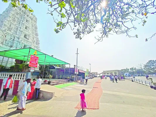 దారి చూపండి స్వామీ!