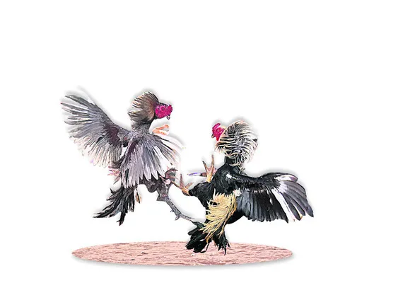 పందేల మాటున ‘పైసా’చికం 