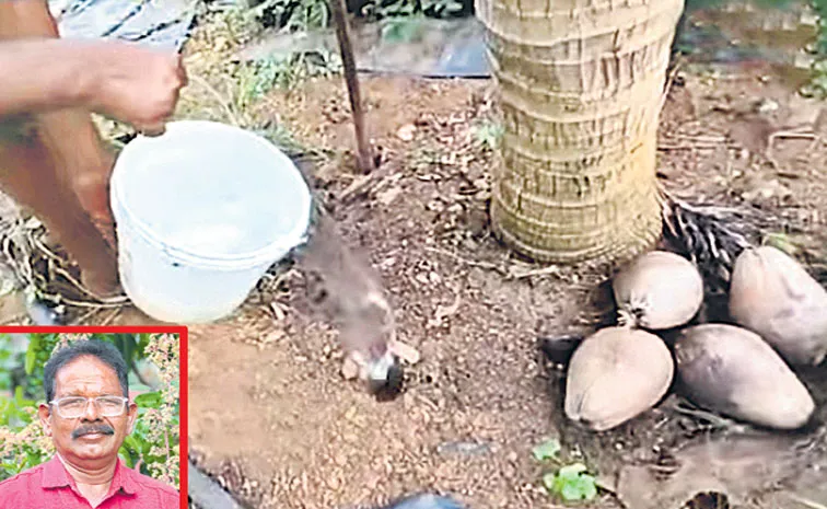 Sagubadi: Organic Farmer Jitta Bal Reddy Success Story