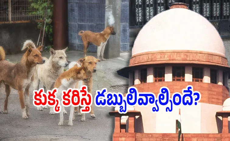 రాష్ట్రాలకు సుప్రీం కోర్టు హెచ్చరిక