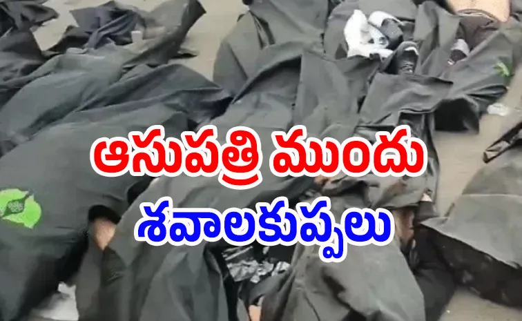 Hundreds have died in the Iran protests