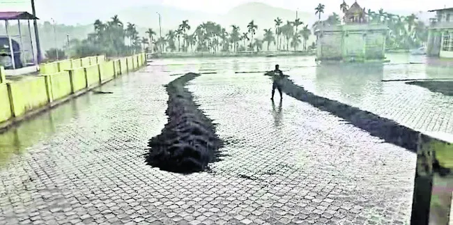 కాఫీ పంటకు నష్టం  