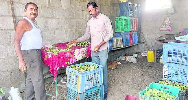 ప్రకృతి ఫుడ్స్‌ సొసైటీ నెలకొల్పి.. 