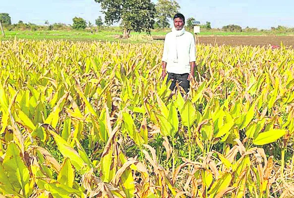 ప్రకృతి సేద్యమే పరమావధిగా.. 