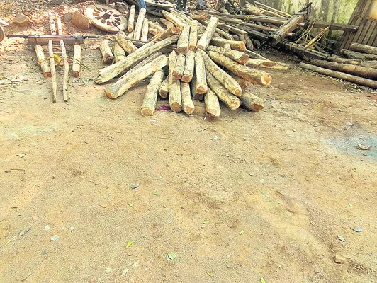 టేకు కలప పట్టివేత
