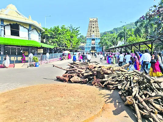 నేడు సింహగిరిపై సంక్రాంతి సంబరాలు 