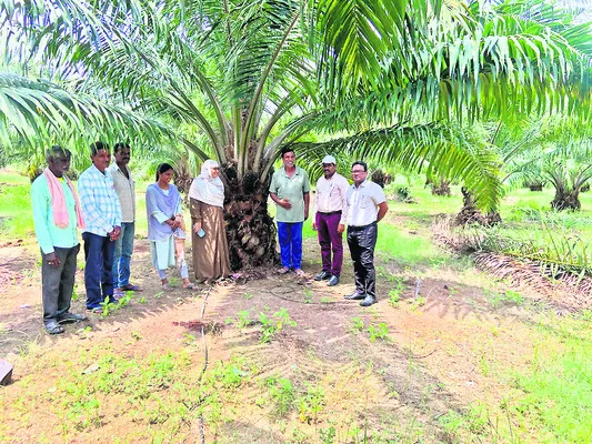 సాగు..సంబురంగా 