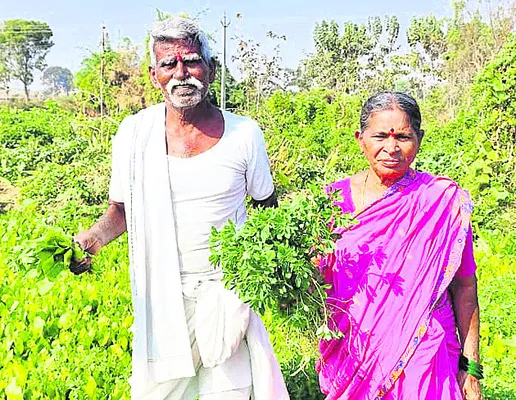 30 ఏళ్లకు పైగా ఎడ్లతోనే.. 