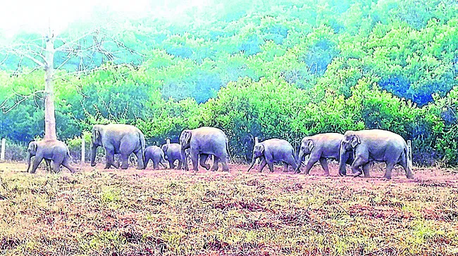 మళ్లీ ‘గజ’గజ