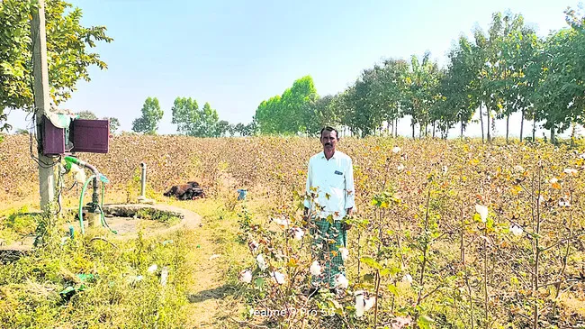 సాగులో రఘోత్తముడు