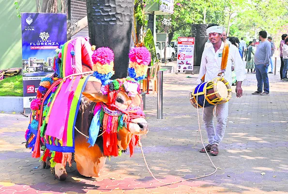 సంబరాల సంక్రాంతి
