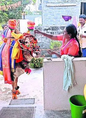 బసవన్నలతో భుక్తి