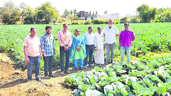 విభిన్న పంటల సాగు హర్షణీయం 